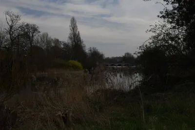 DSC_6915 (Large).JPG